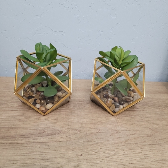 Set o f 2) 5" x 4" Artificial Succulent Plant with Brass Terrarium - Opalhouse - Picture 7 of 7